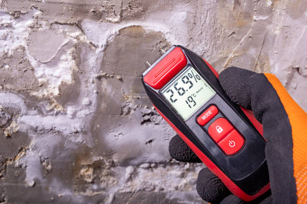 Best Mold Testing  in Wilsons Mills, NC