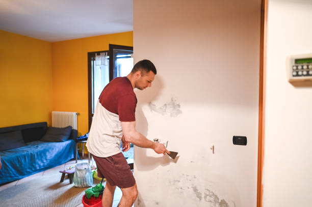 Reliable Wilsons Mills, NC Mold Removal Solutions